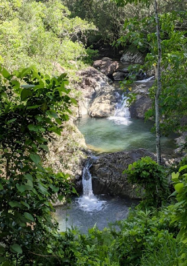 Evasion Bungalow Tropical Spa Sarraméa المظهر الخارجي الصورة
