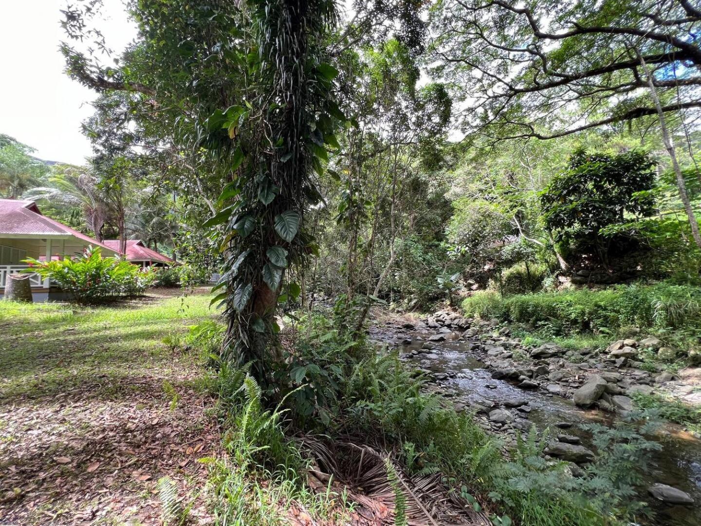 Evasion Bungalow Tropical Spa Sarraméa المظهر الخارجي الصورة
